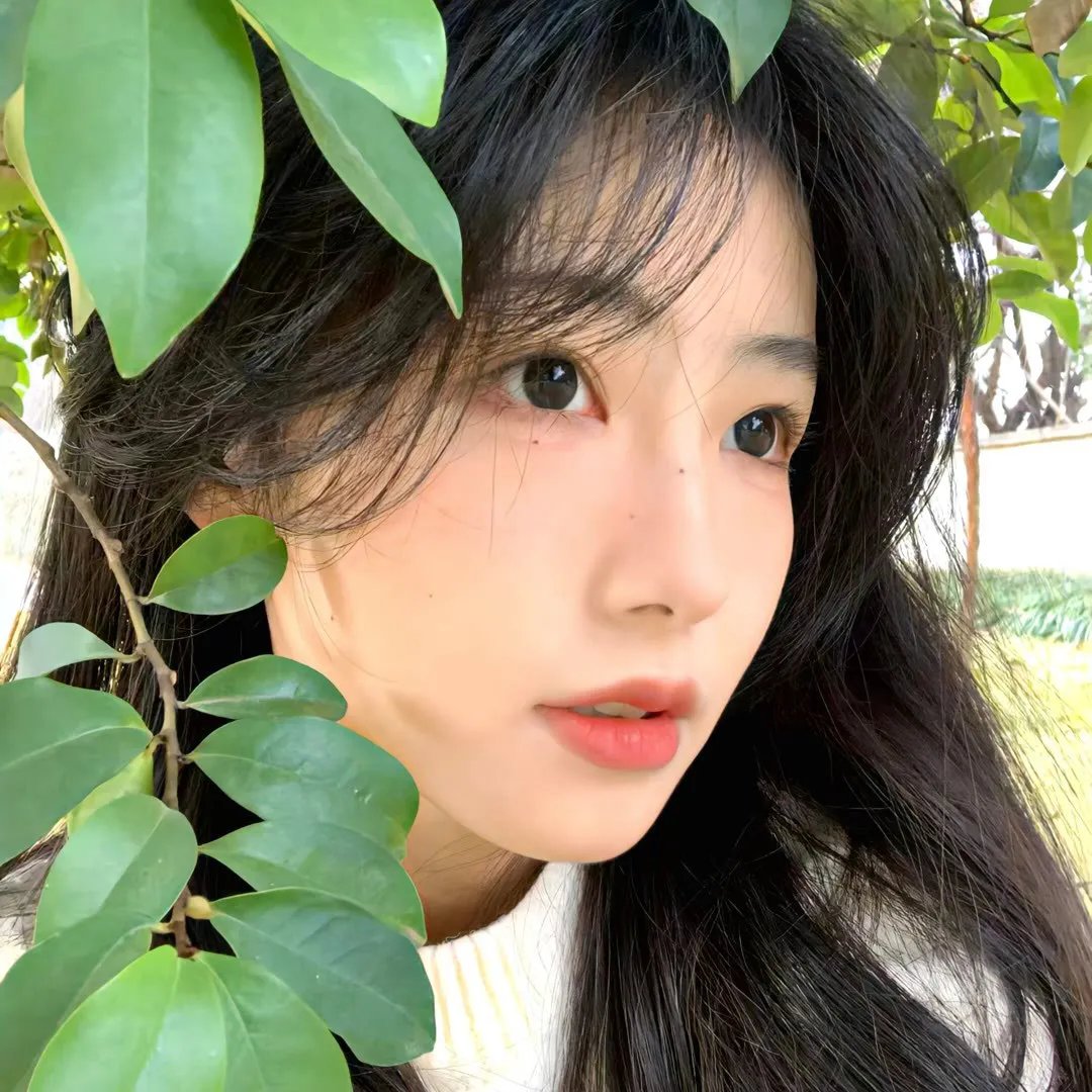 珍妮潘的规则